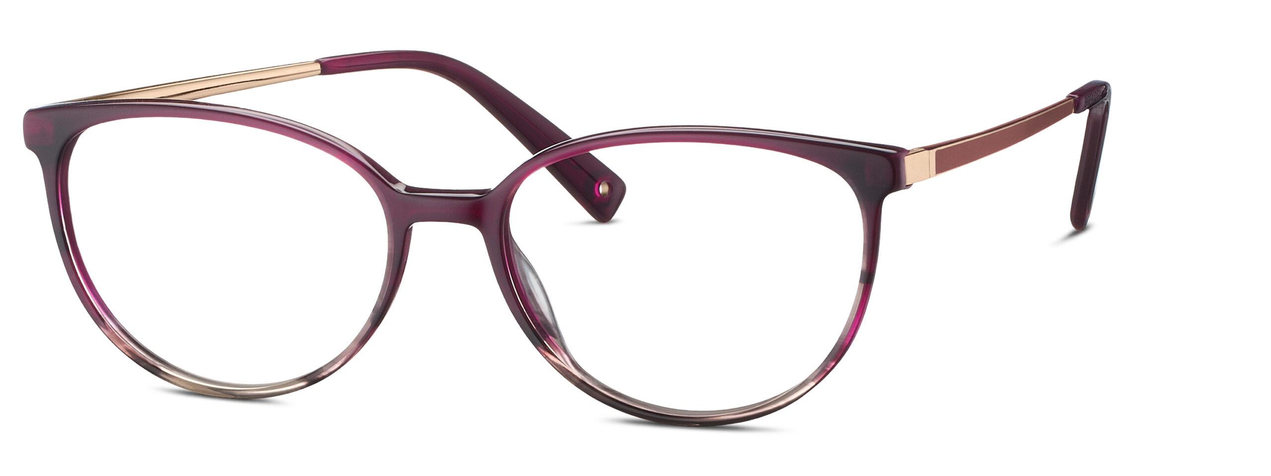 BRENDEL eyewear BL