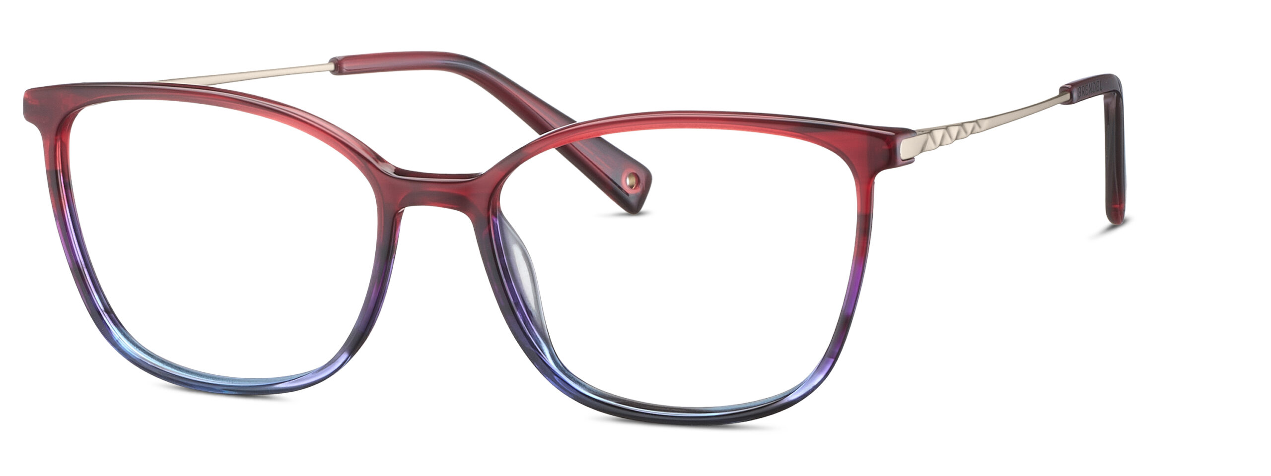 BRENDEL eyewear BL