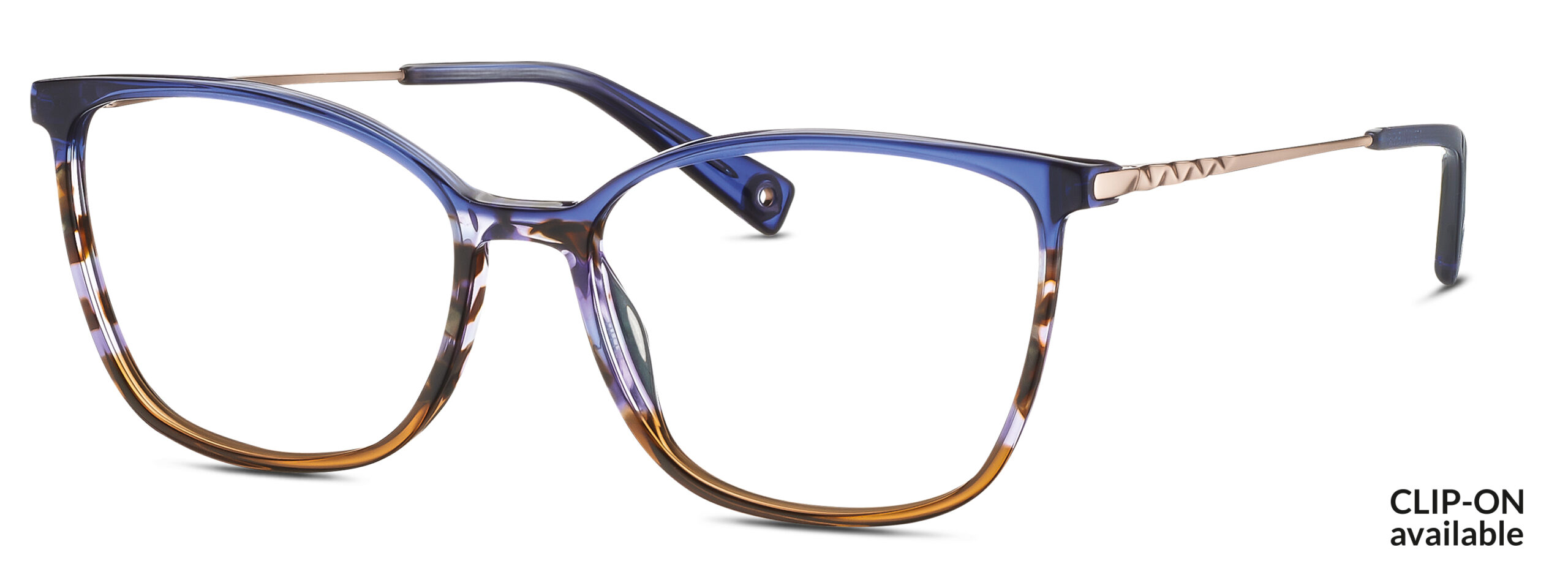BRENDEL eyewear BL