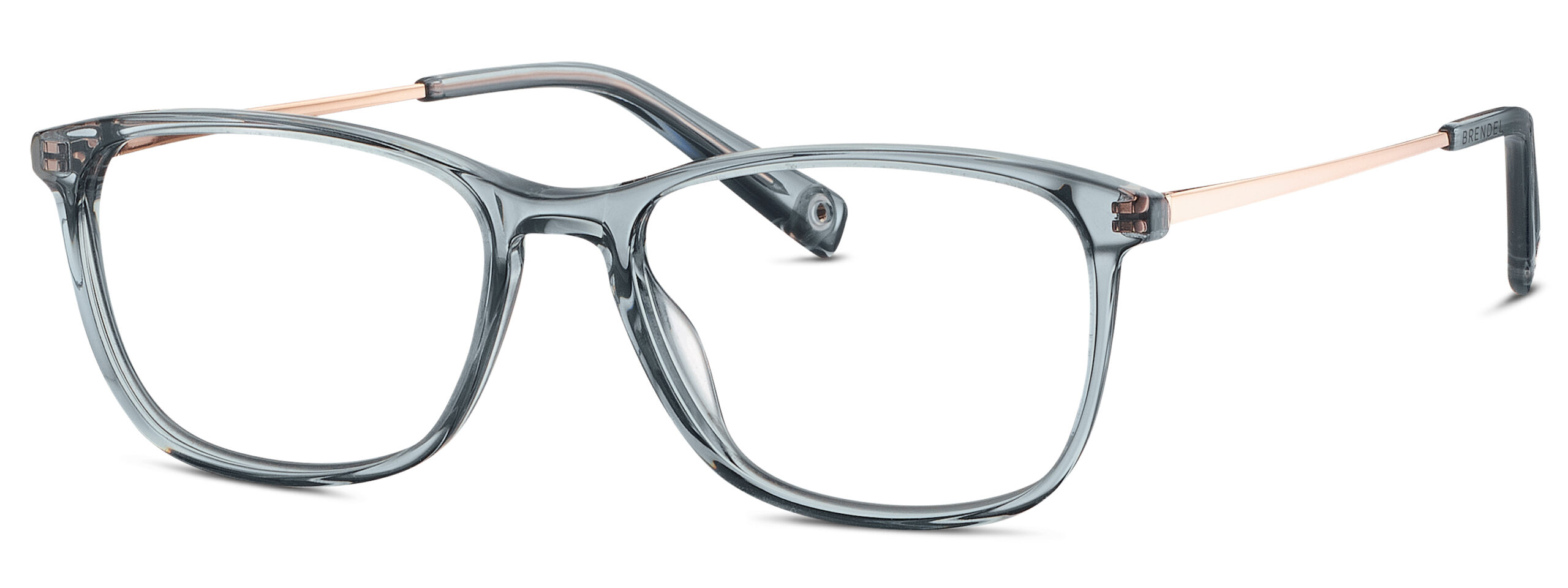 BRENDEL eyewear BL