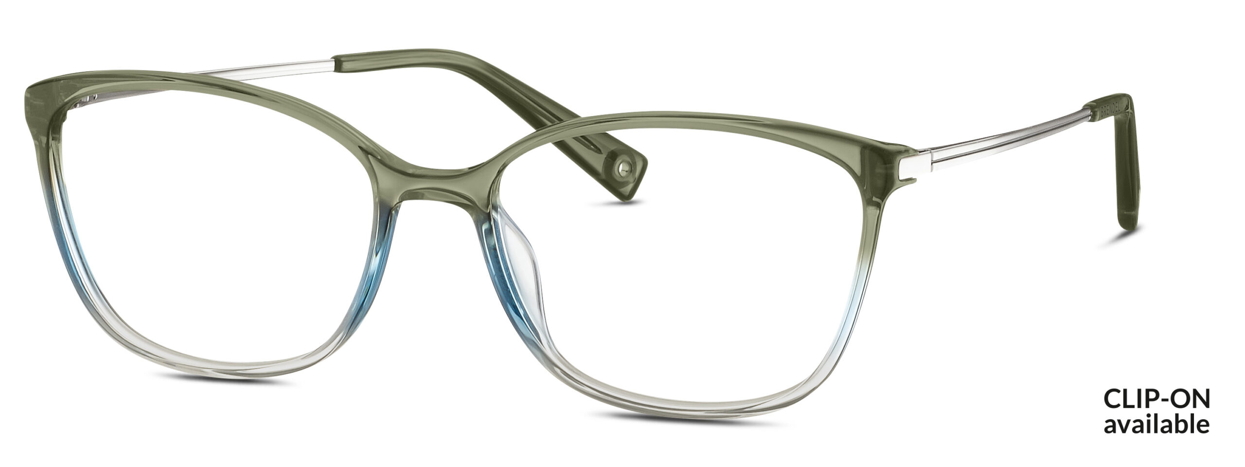 BRENDEL eyewear BL
