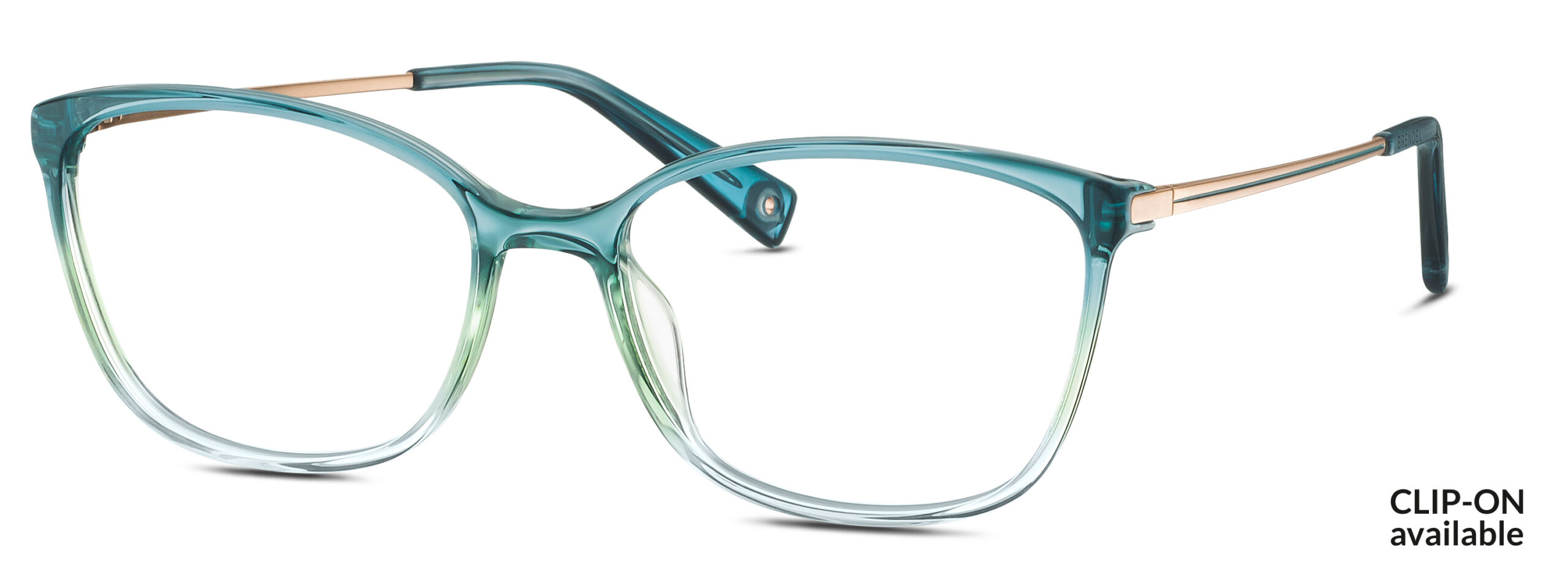 BRENDEL eyewear BL