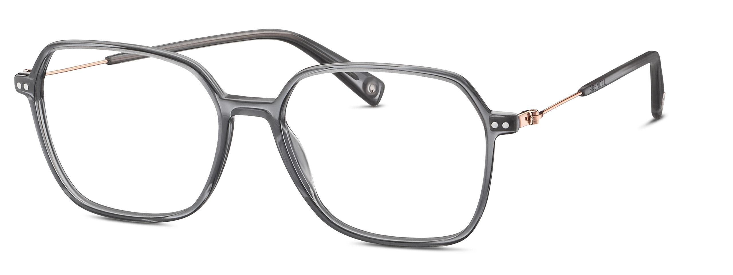 BRENDEL eyewear BL