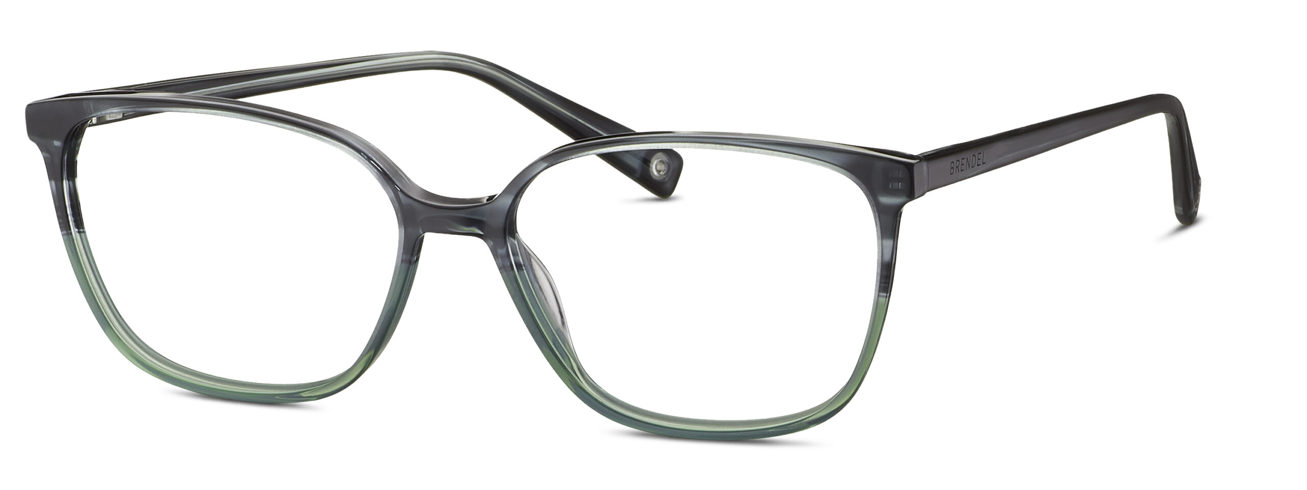 BRENDEL eyewear BL