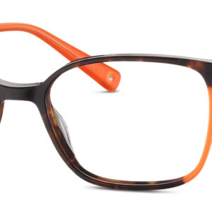 havanna orange