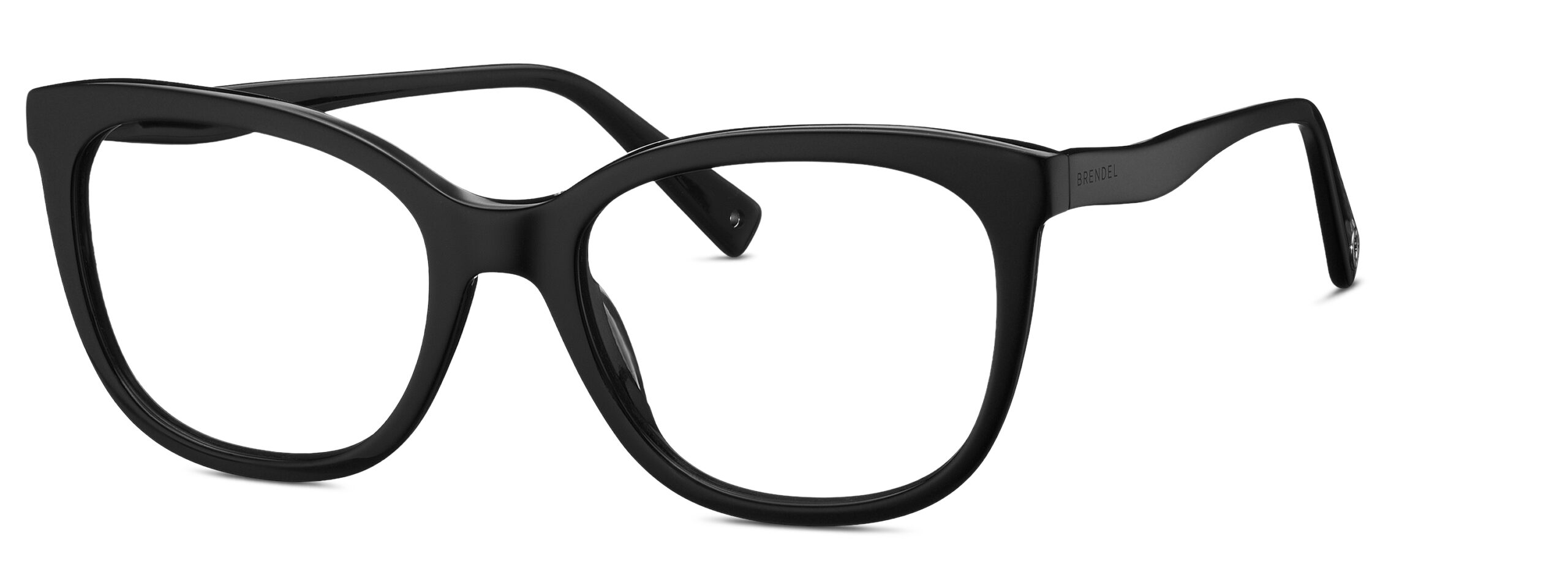 BRENDEL eyewear BL