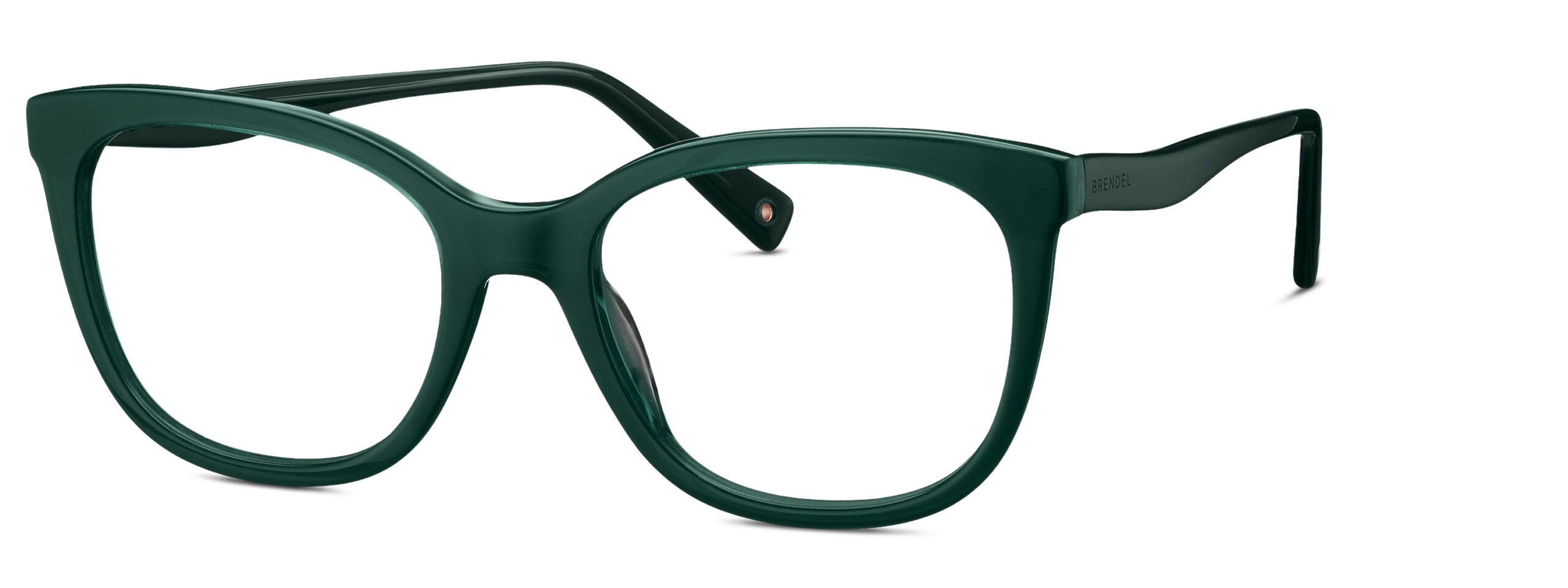 BRENDEL eyewear BL