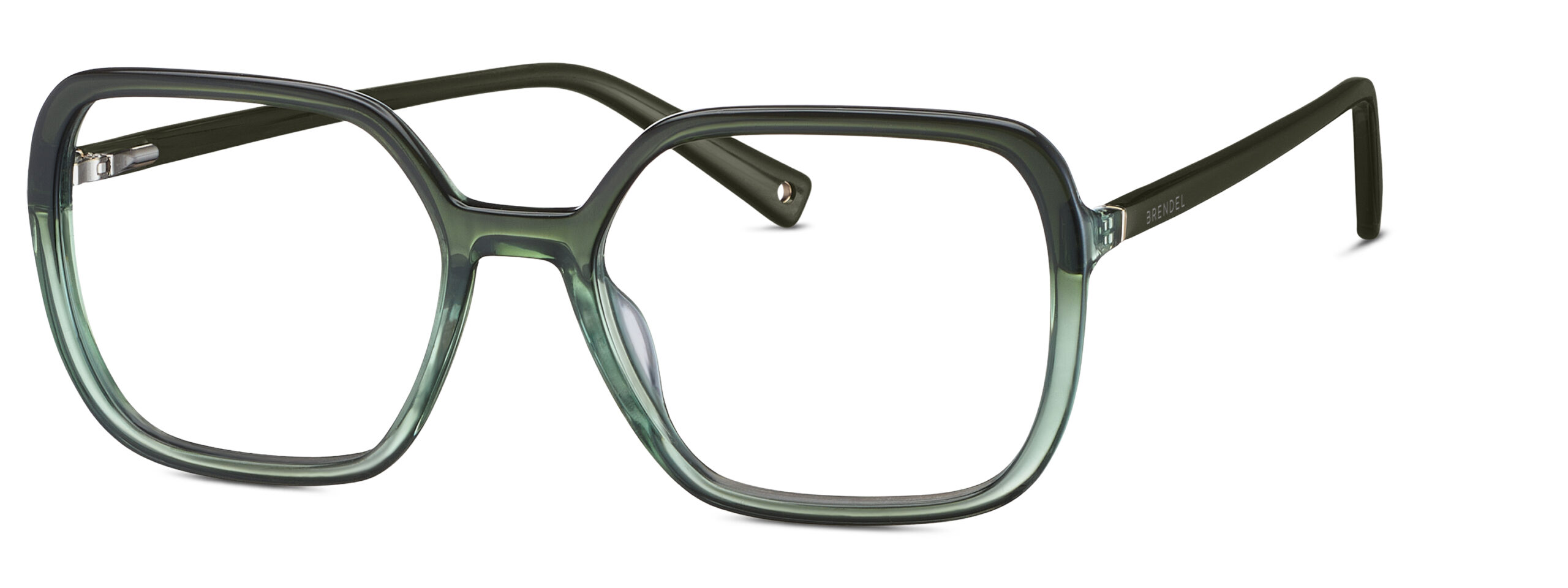 BRENDEL eyewear BL