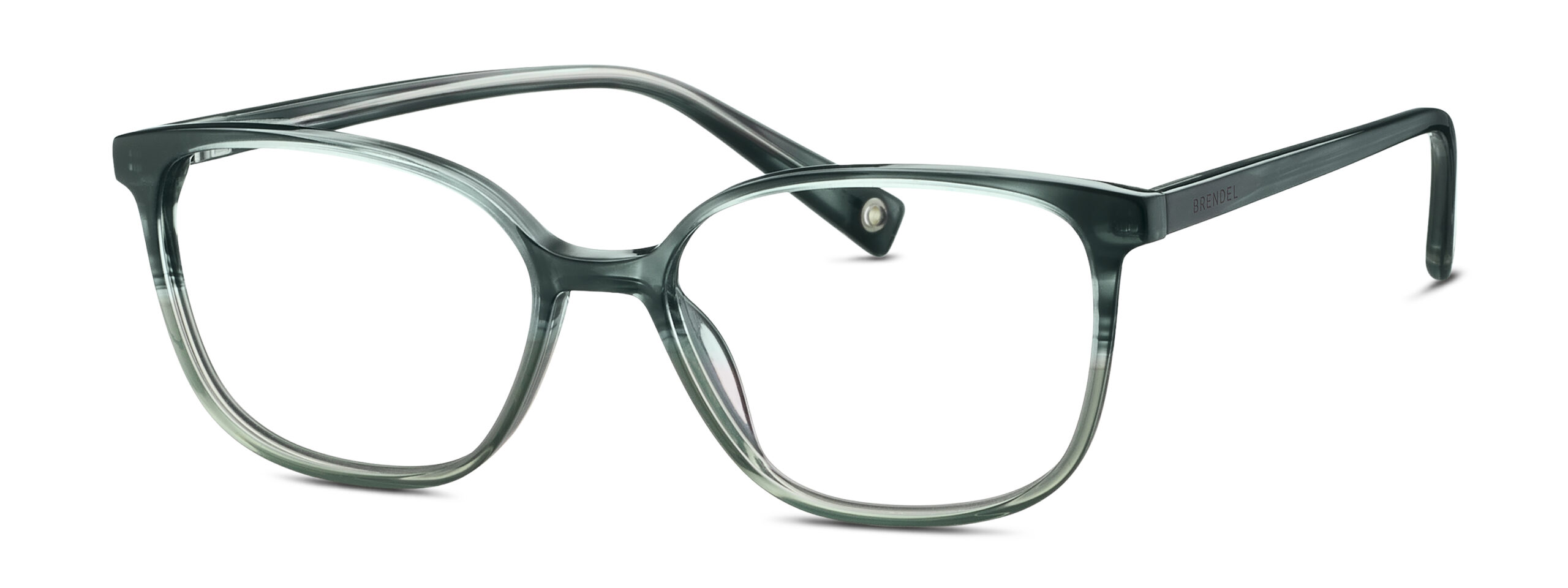 BRENDEL eyewear BL