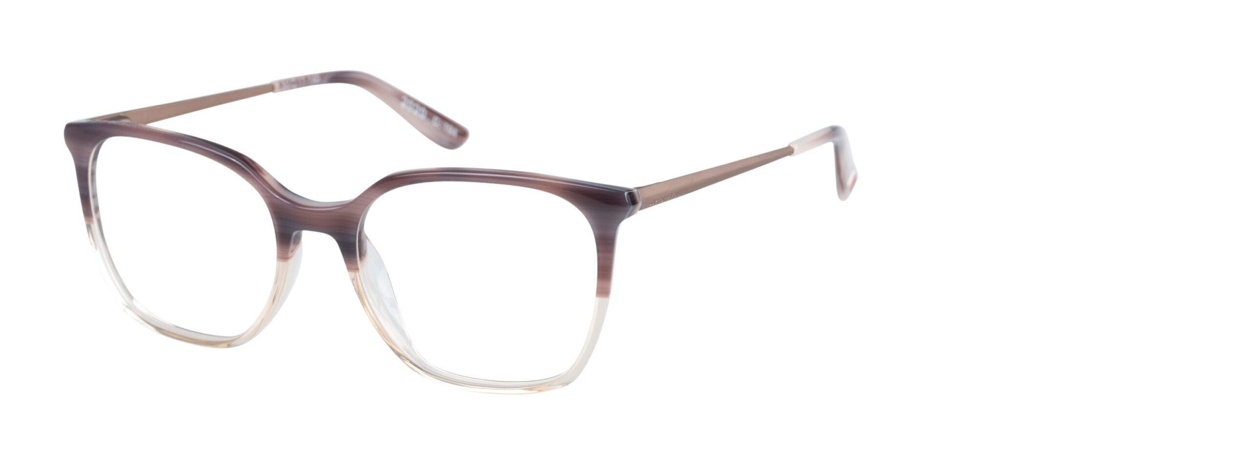 SUPERDRY EYEWEAR SD