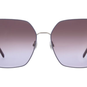 SilverViolet