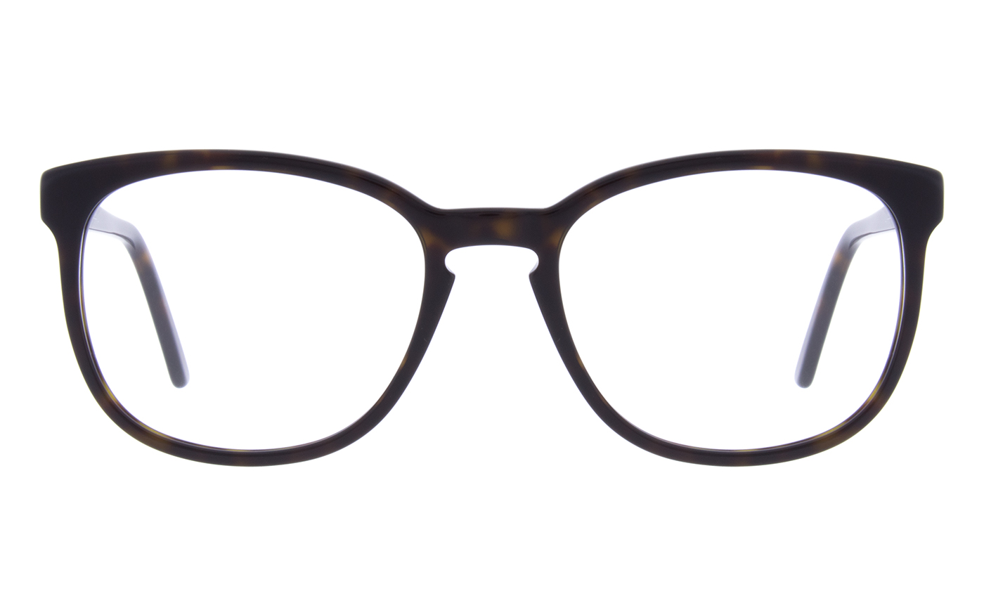 Andy Wolf 4612 Brown