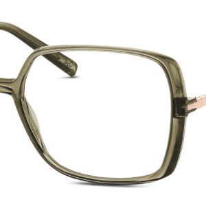 oliv transparent