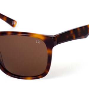 Gloss tortoise/ Brown