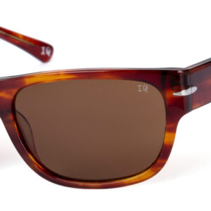 Gloss tortoise/ Brown