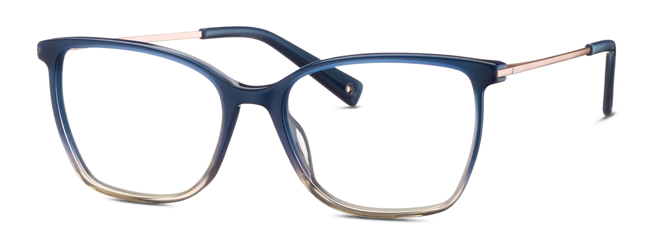 BRENDEL eyewear BL
