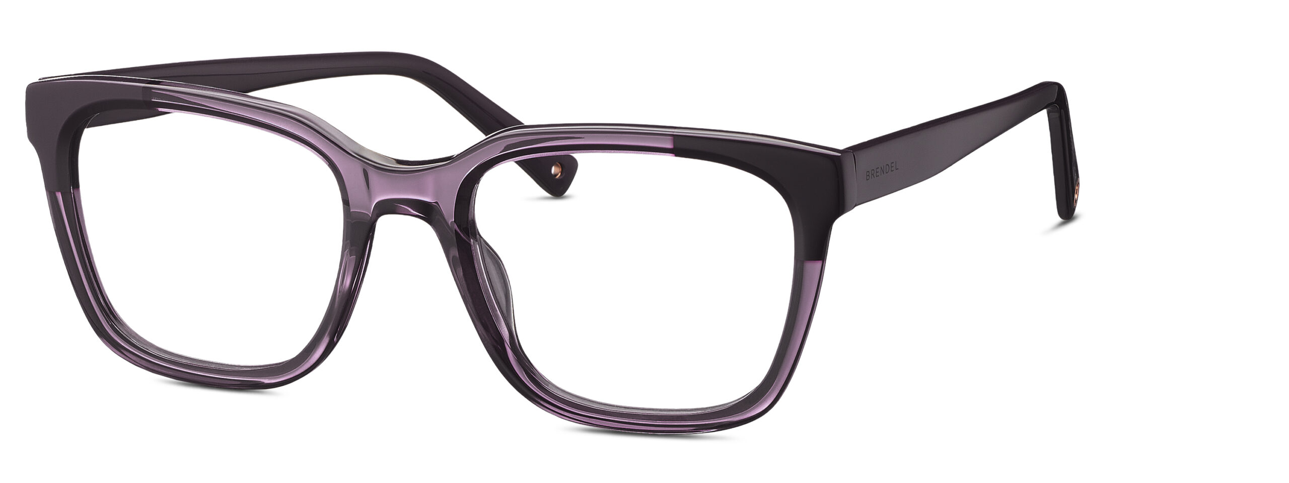BRENDEL eyewear BL
