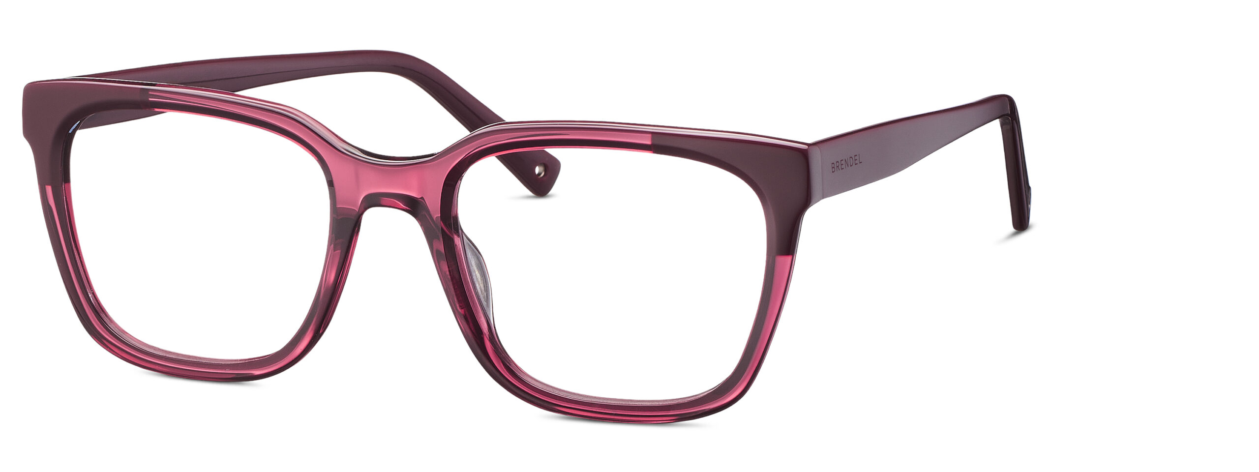 BRENDEL eyewear BL