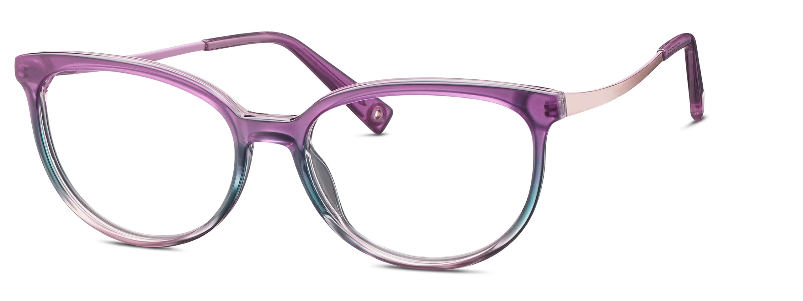 BRENDEL eyewear BL