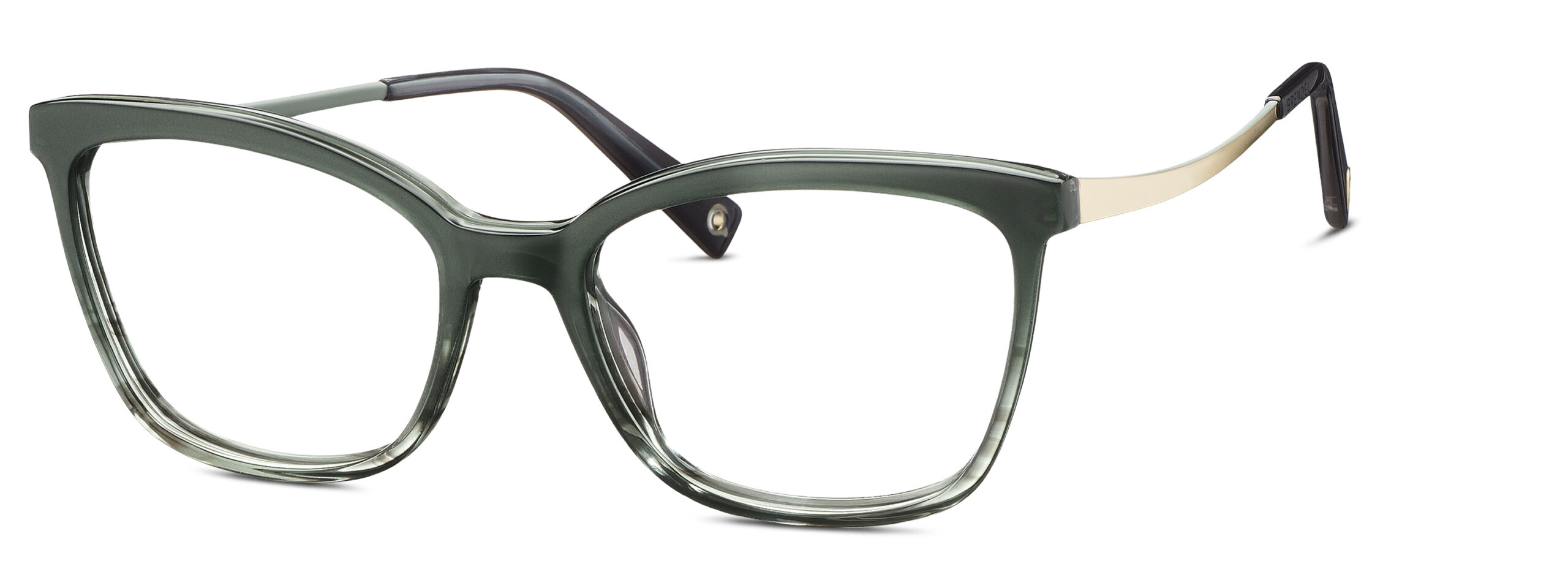 BRENDEL eyewear BL