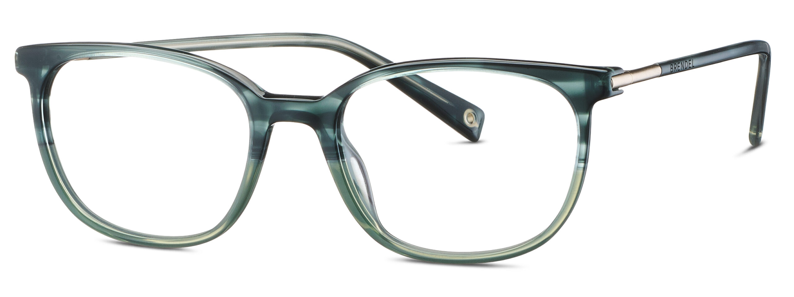BRENDEL eyewear BL