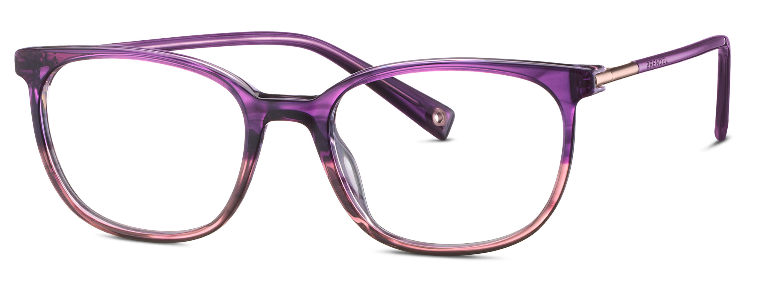 BRENDEL eyewear BL