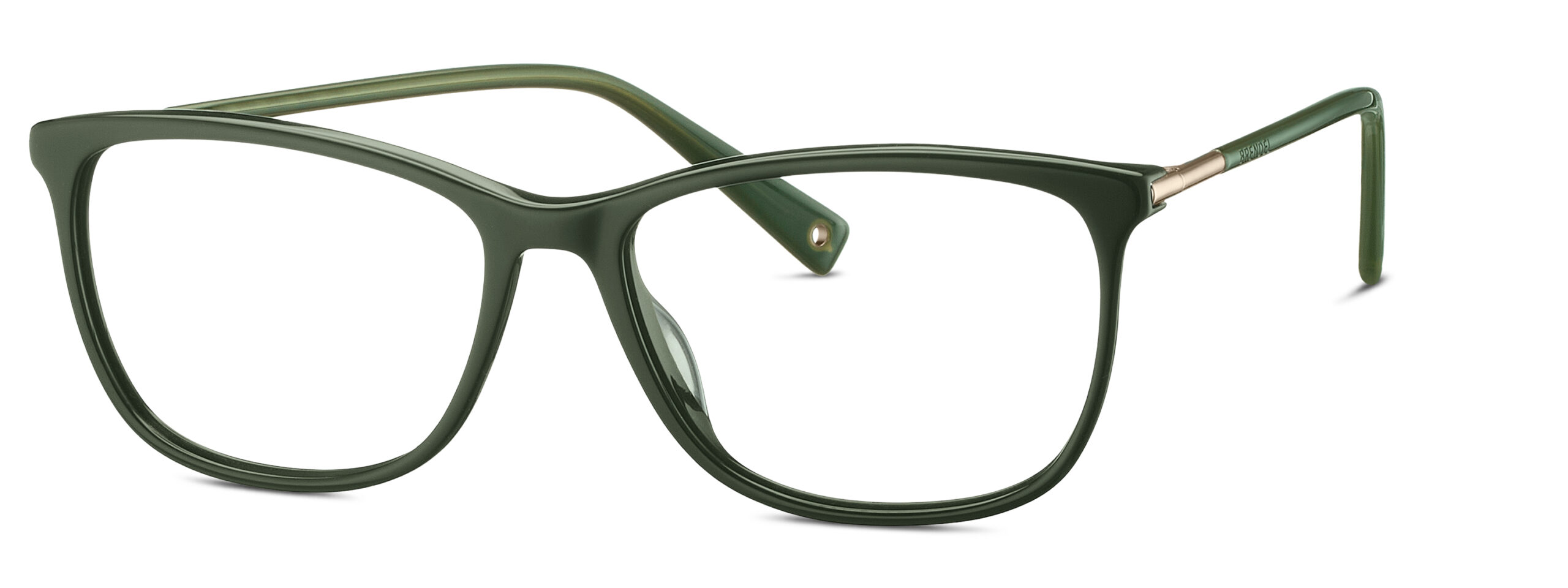 BRENDEL eyewear BL