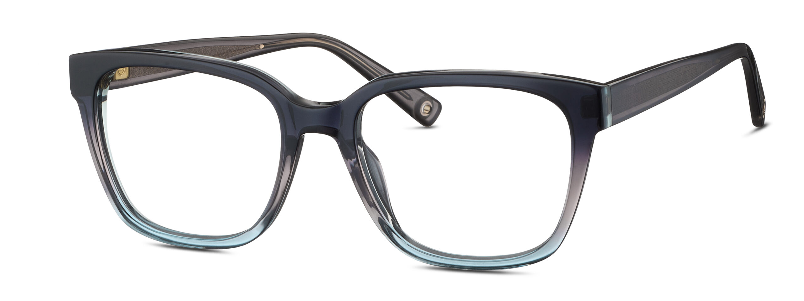 BRENDEL eyewear BL