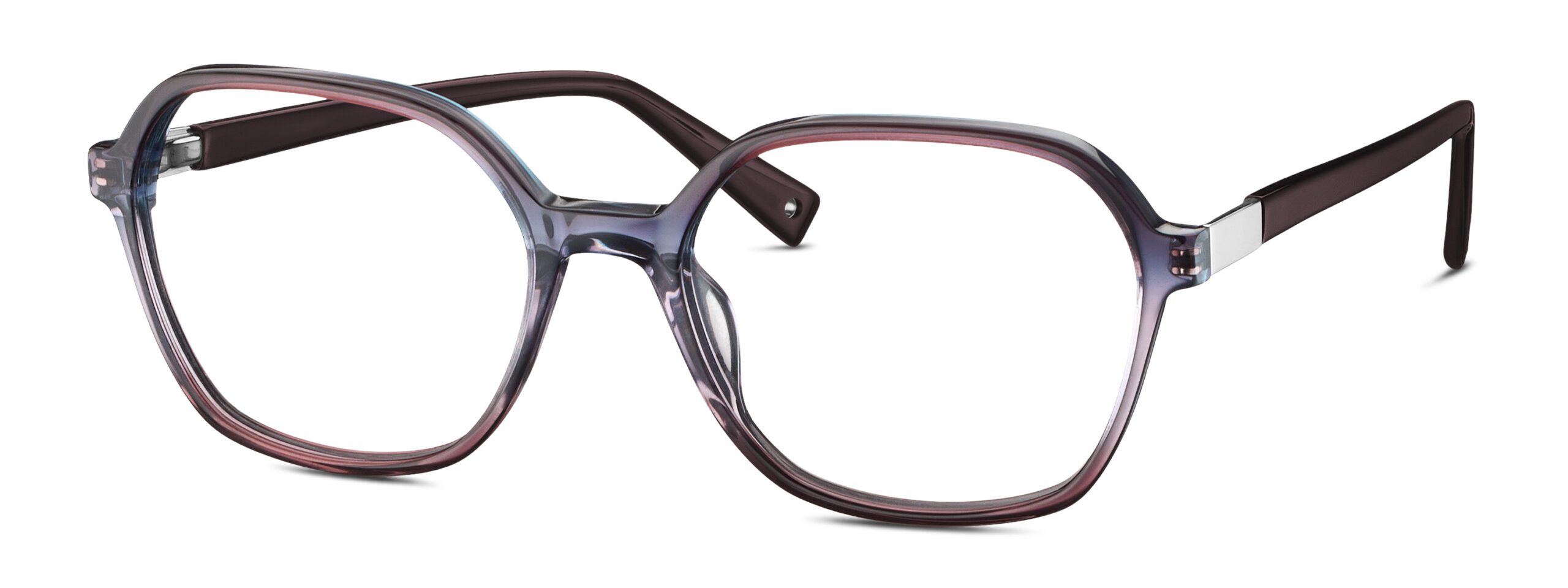 BRENDEL eyewear BL