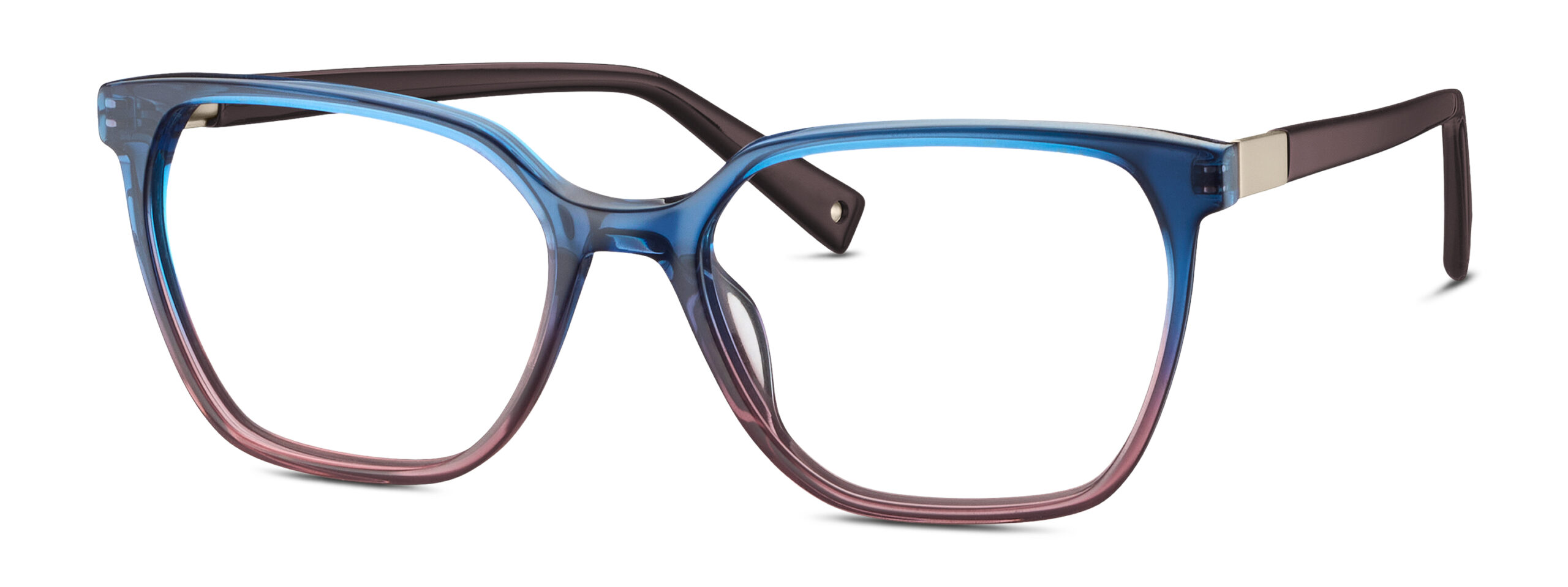 BRENDEL eyewear BL
