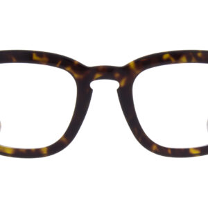 BrownGold 02