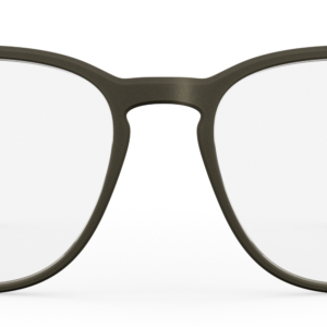 gentle browngrey C006