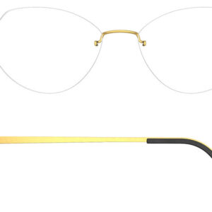 GT / 700