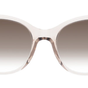 rauch transparent